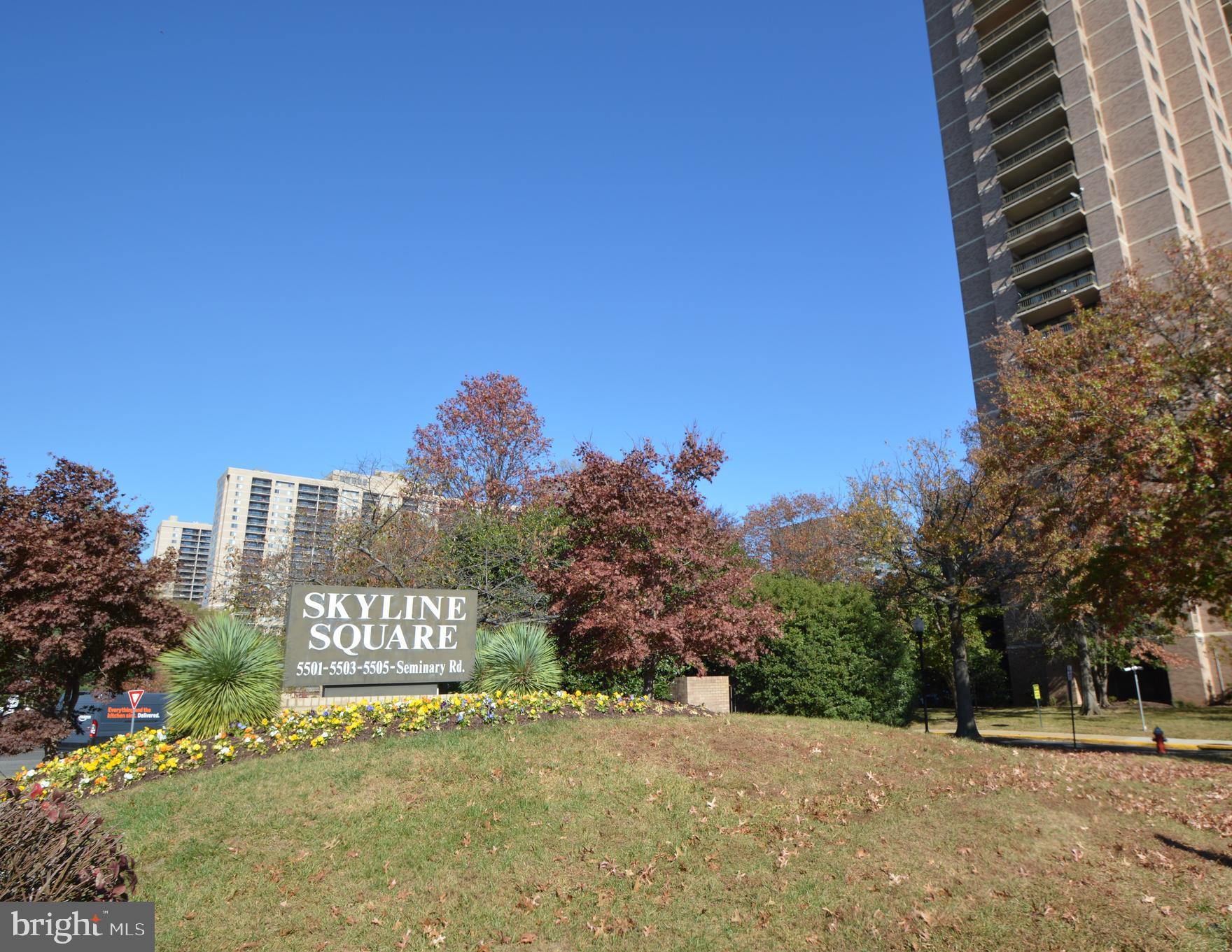 5505 Seminary Rd #906n