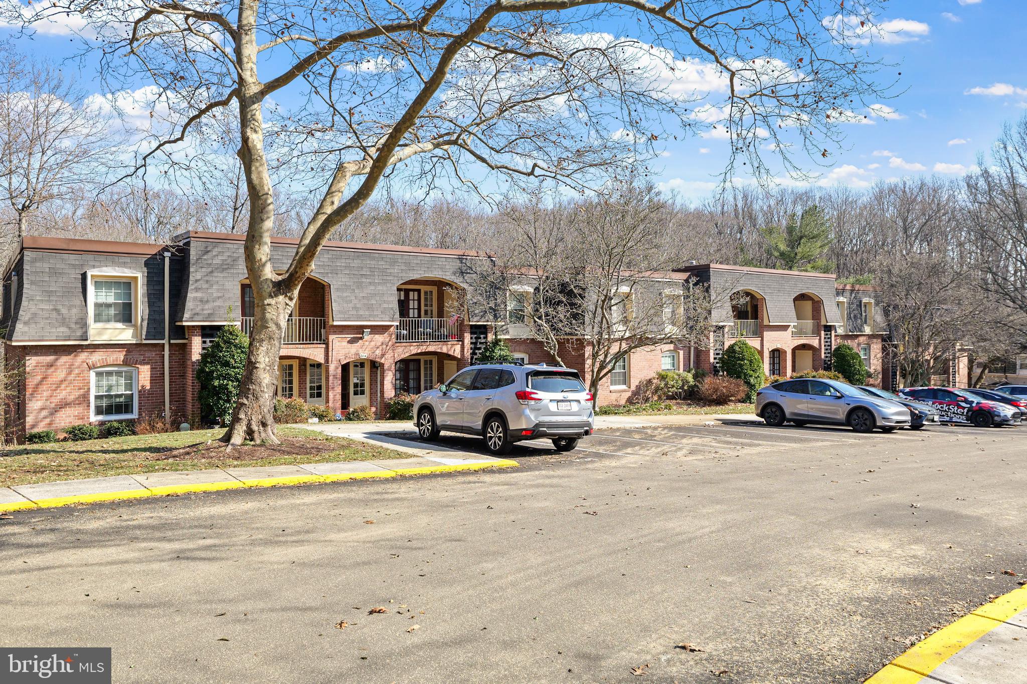 8114-K Colony Point Rd #243