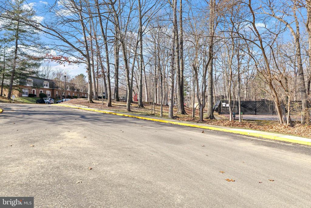 8114-K Colony Point Rd #243
