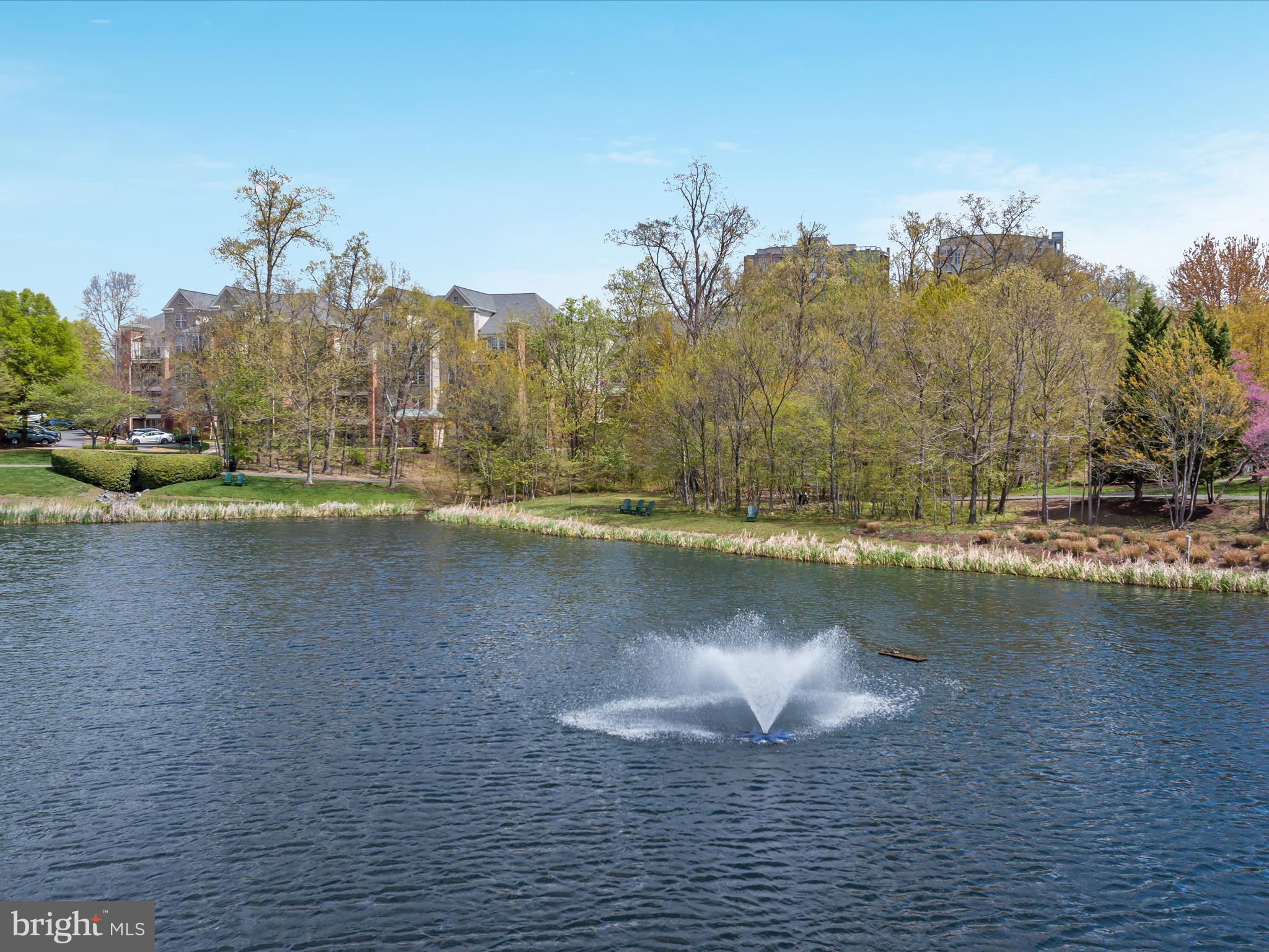 12165 Abington Hall Pl #203
