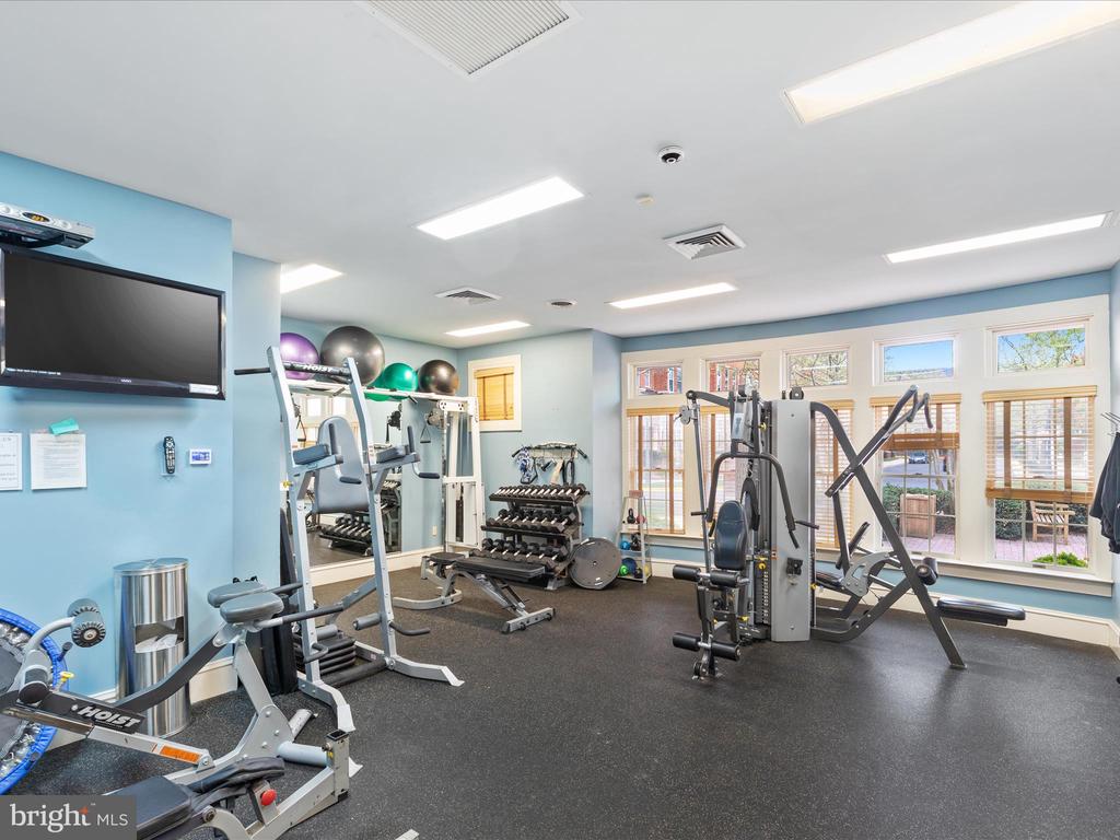 12165 Abington Hall Pl #203