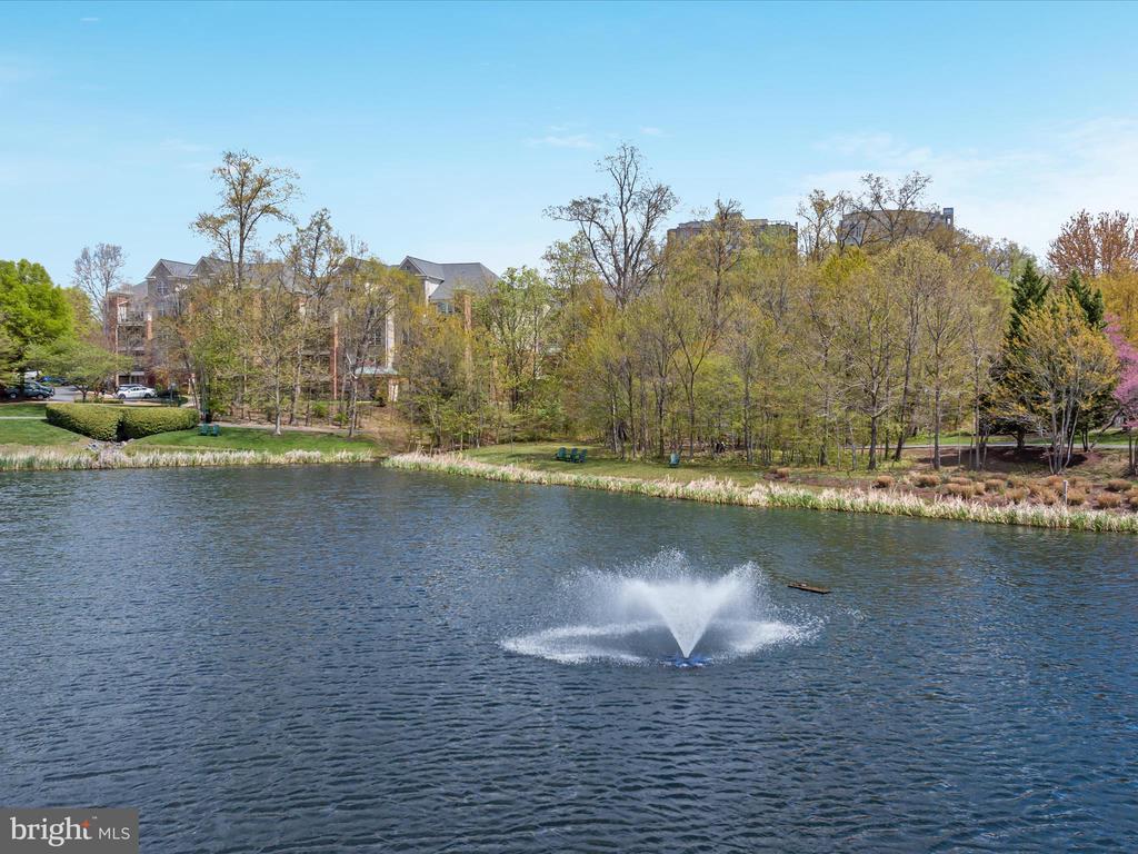 12165 Abington Hall Pl #203