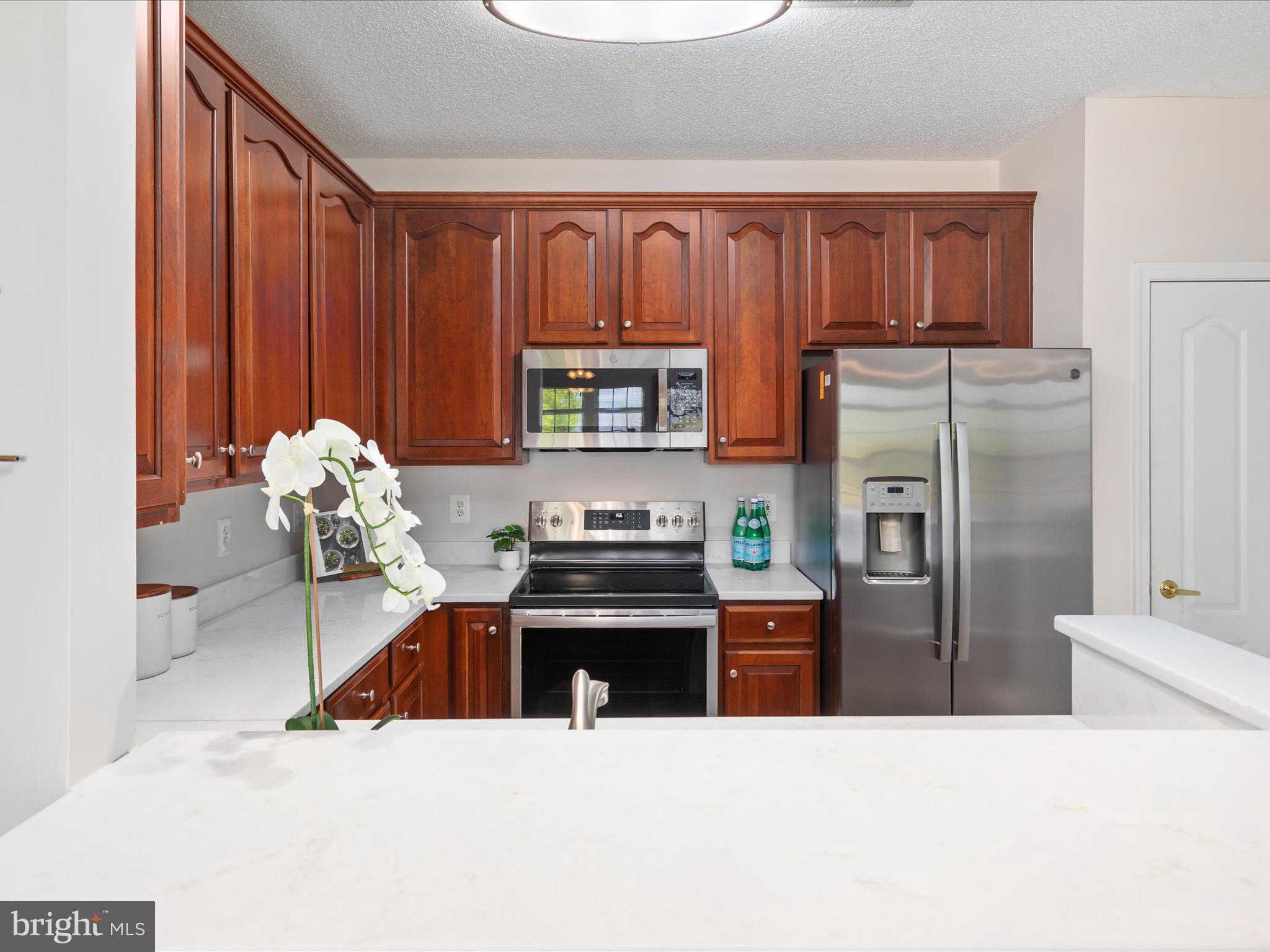 12165 Abington Hall Pl #203
