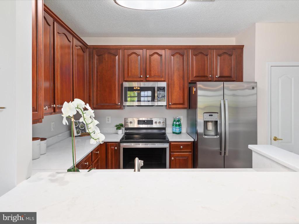 12165 Abington Hall Pl #203