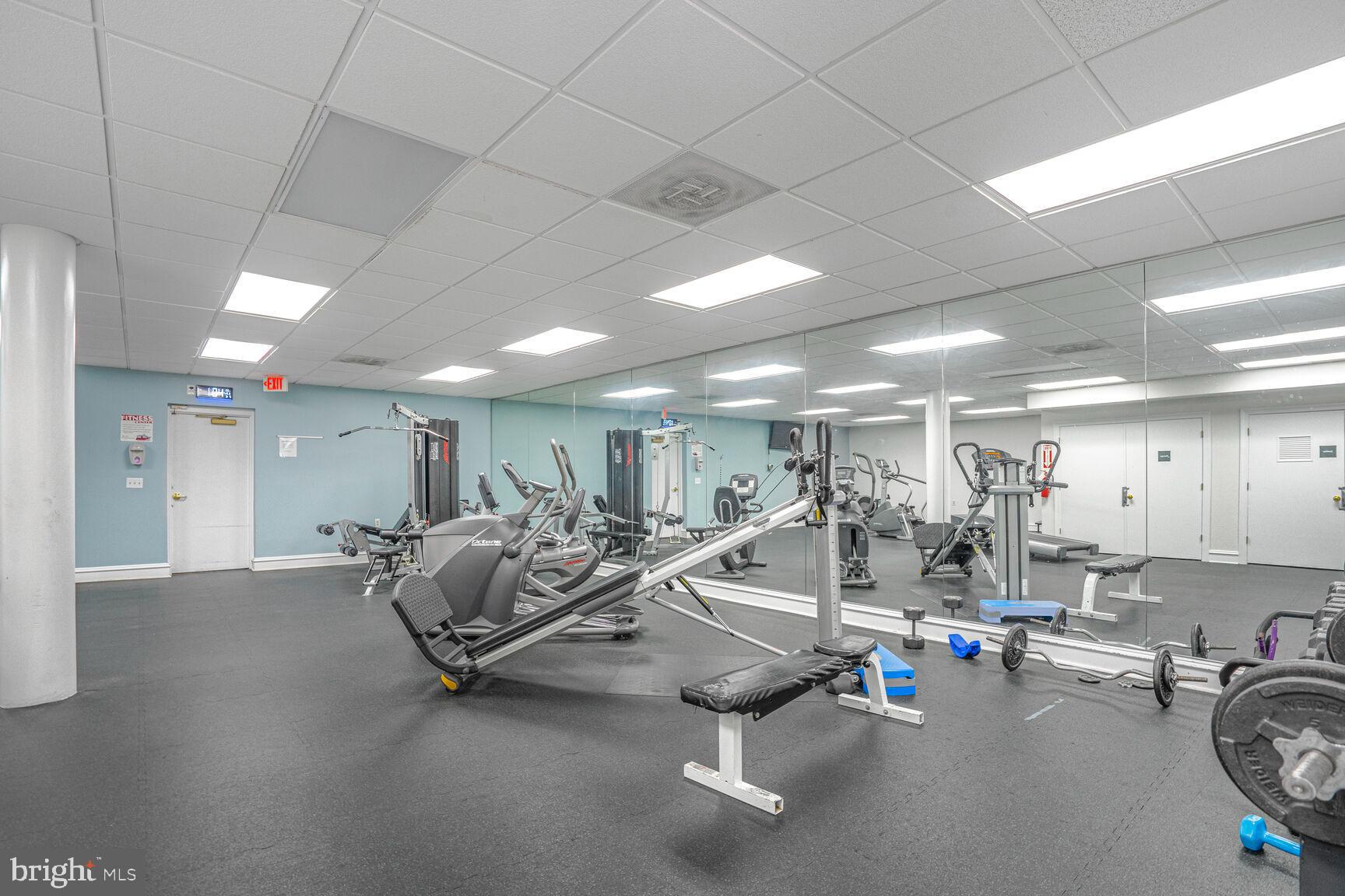 5575 Seminary Rd #213