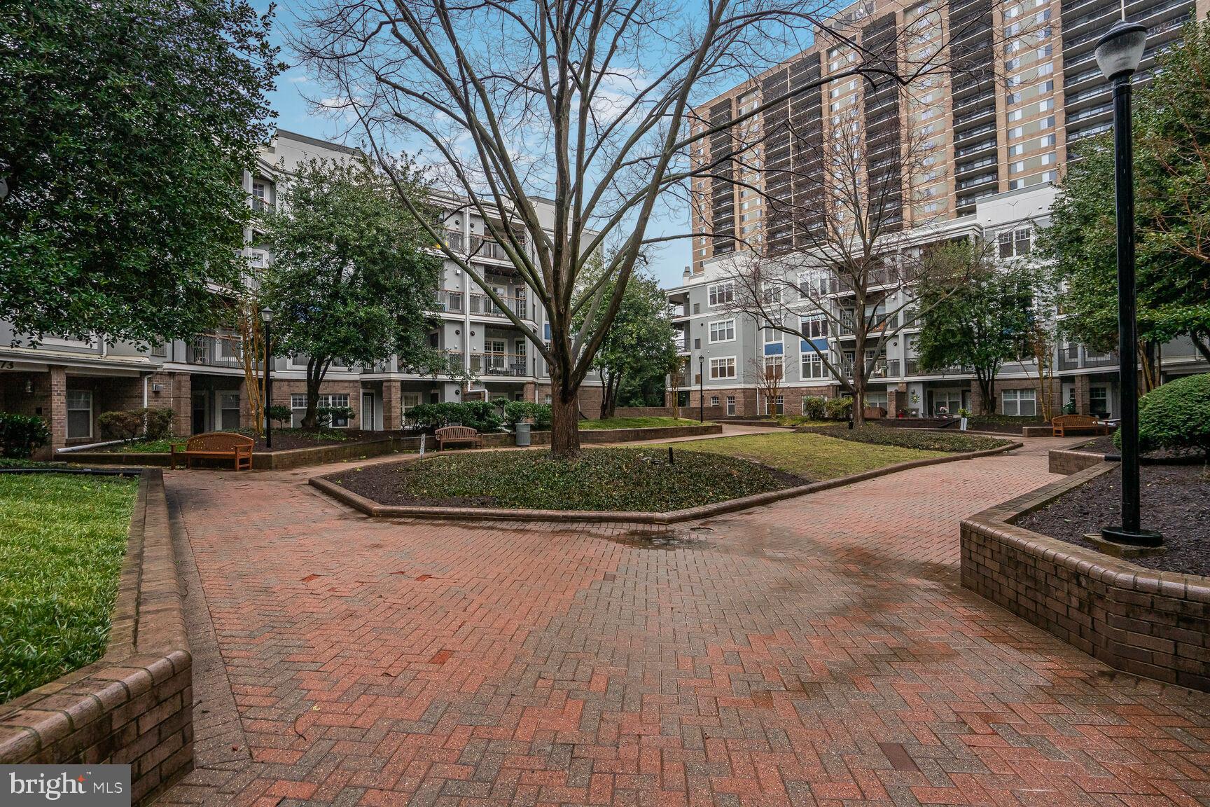 5575 Seminary Rd #213
