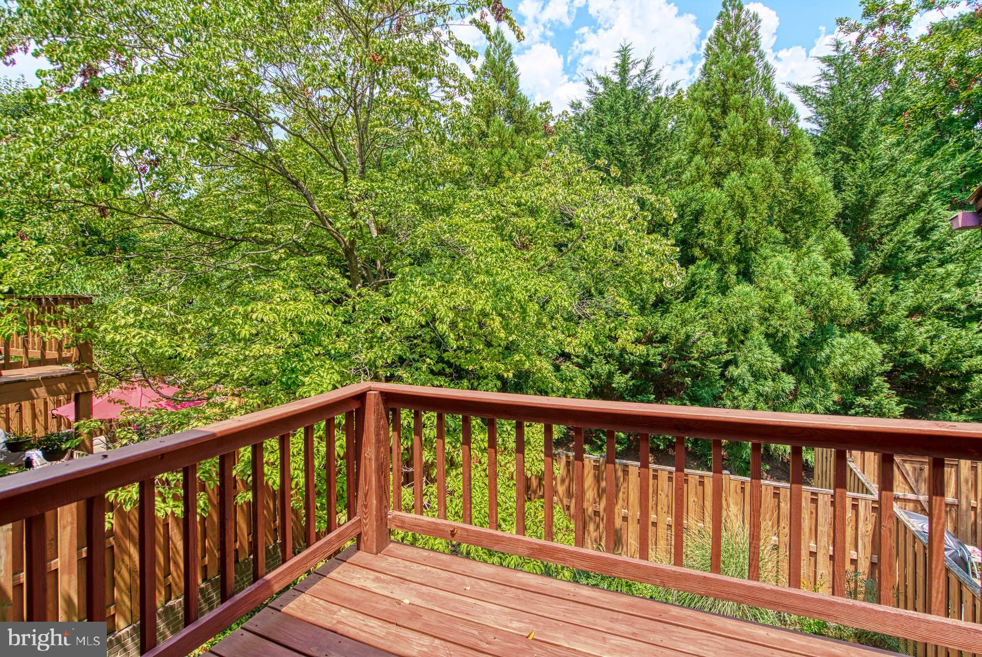 2211 Cedar Cove Ct