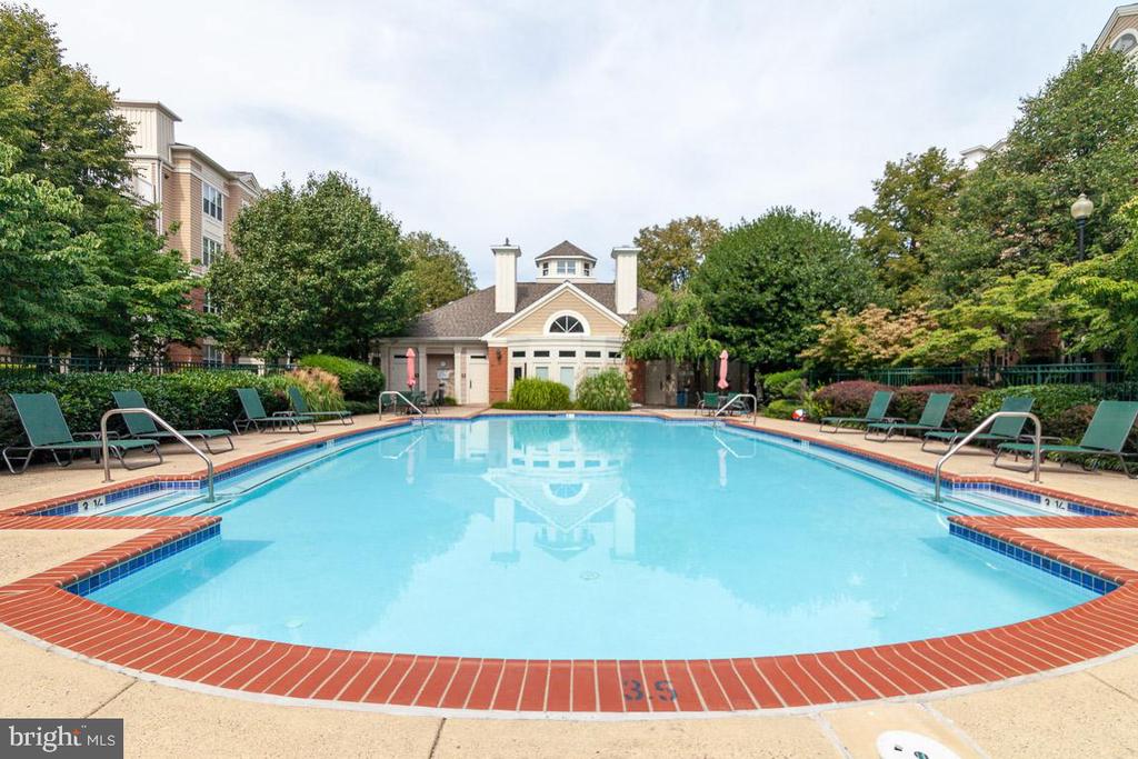 12919 Alton Sq #302