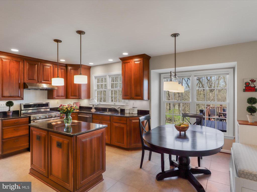 9838 FAUST DRIVE