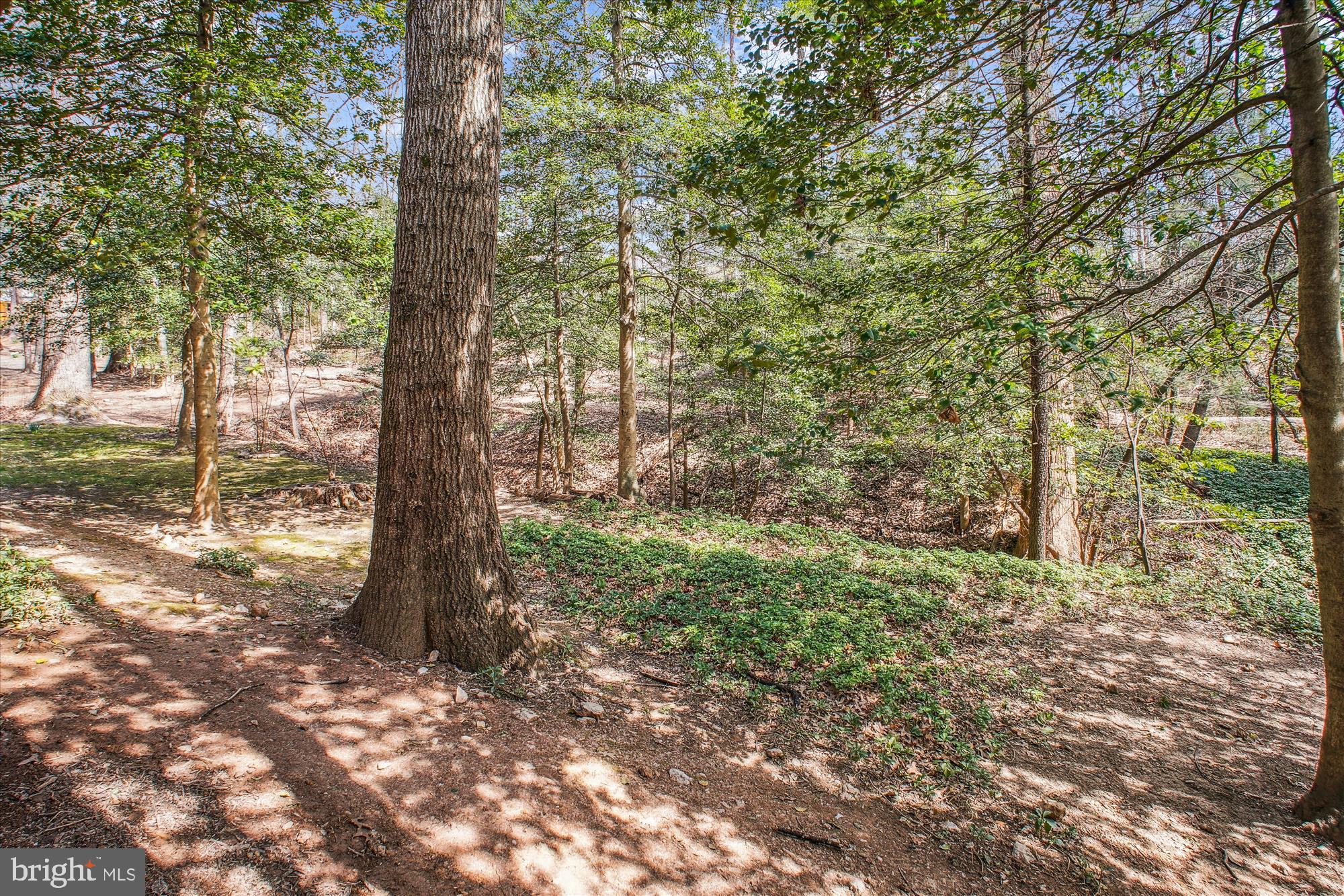 2105 Lirio Ct