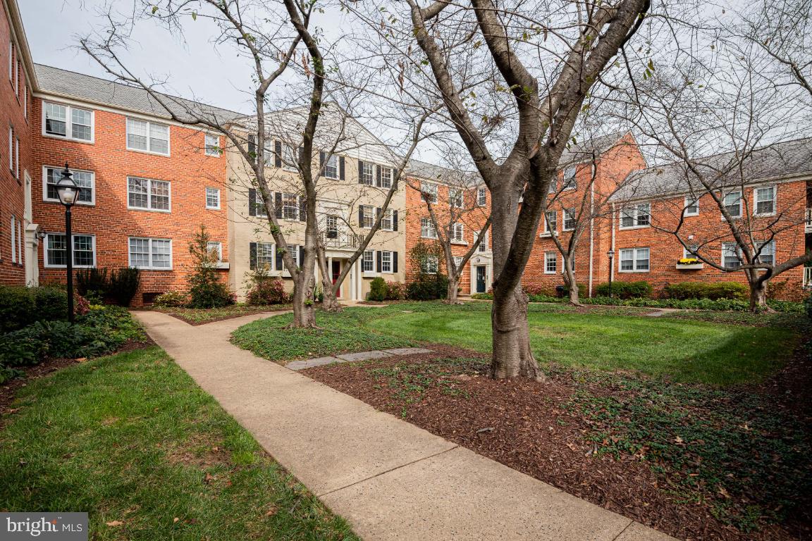 1306 BELLE VIEW #C1