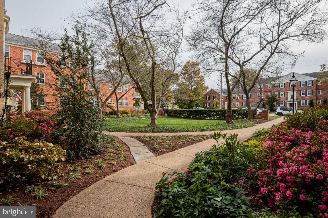 1306 BELLE VIEW #C1