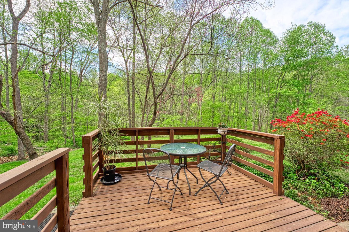 7419 Georgetown Ct