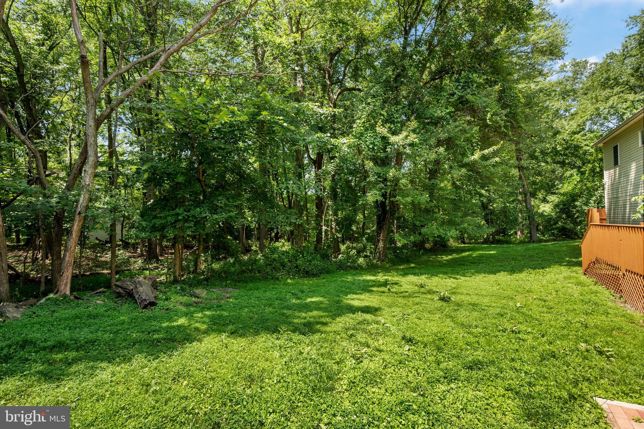 2815 Bass Court