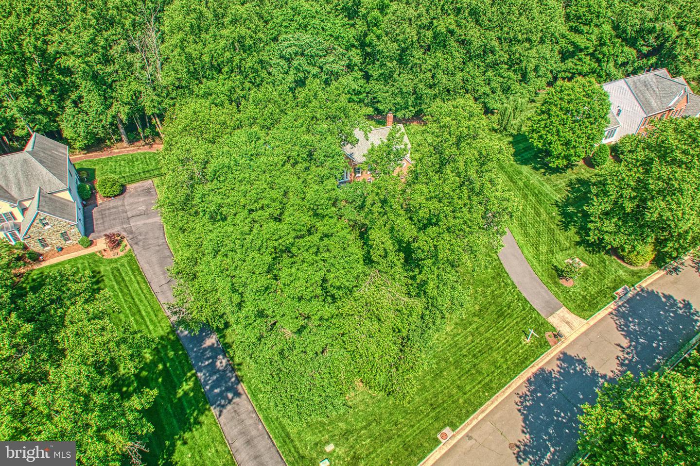 1296 Newkirk Ct