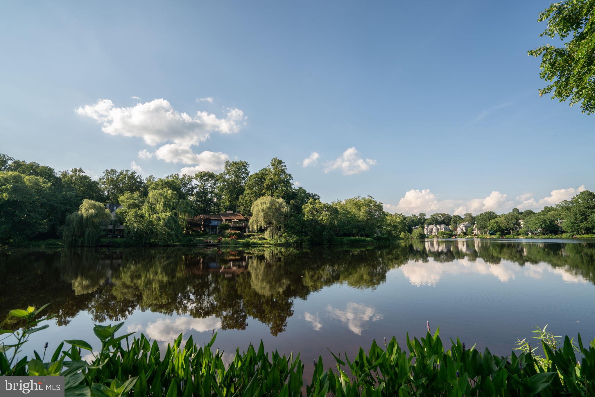 1567 Bennington Woods Ct