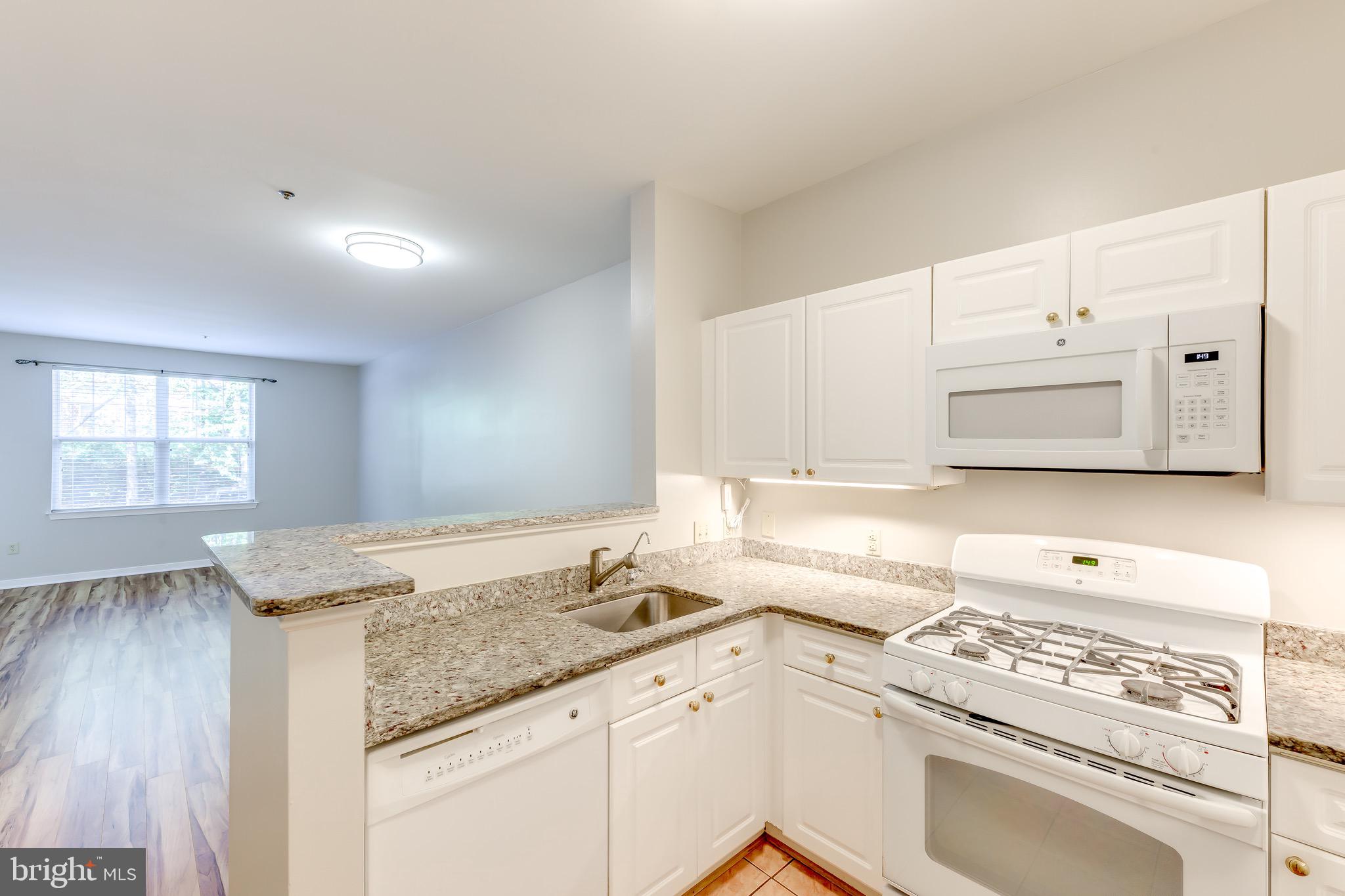 1625 INTERNATIONAL DR #109