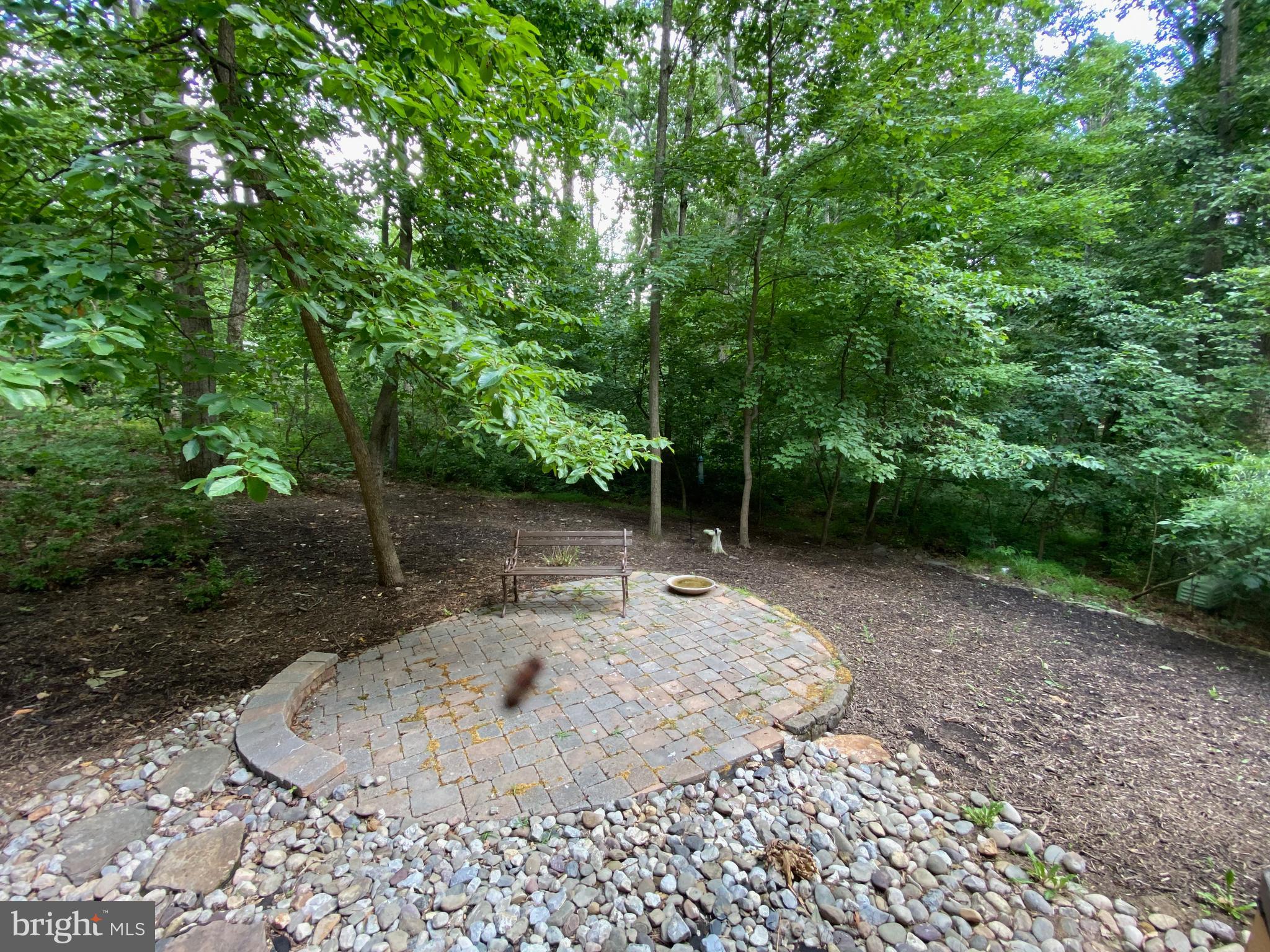 11605 BRANDON HILL WAY