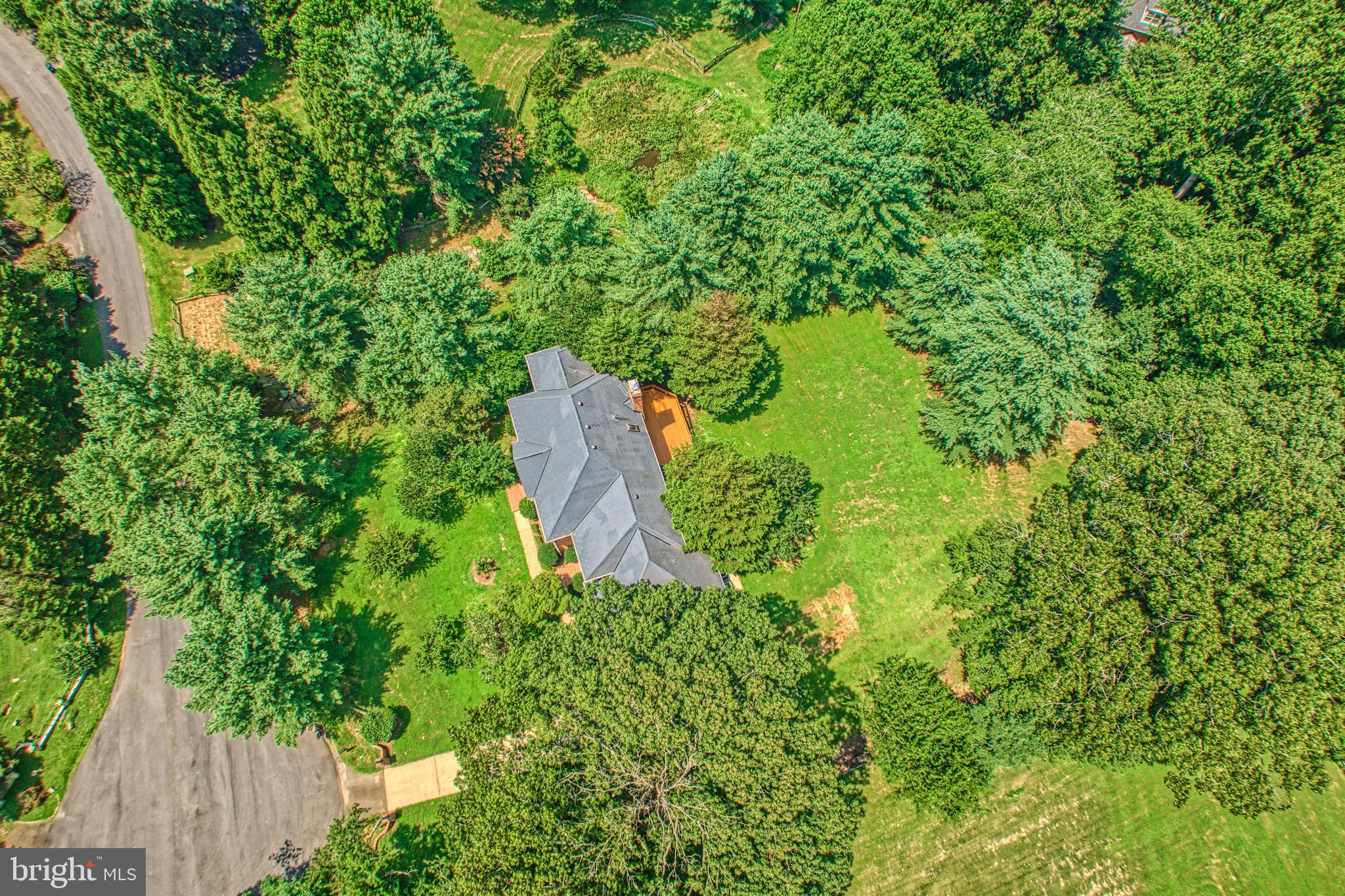 250 Golden Woods Ct