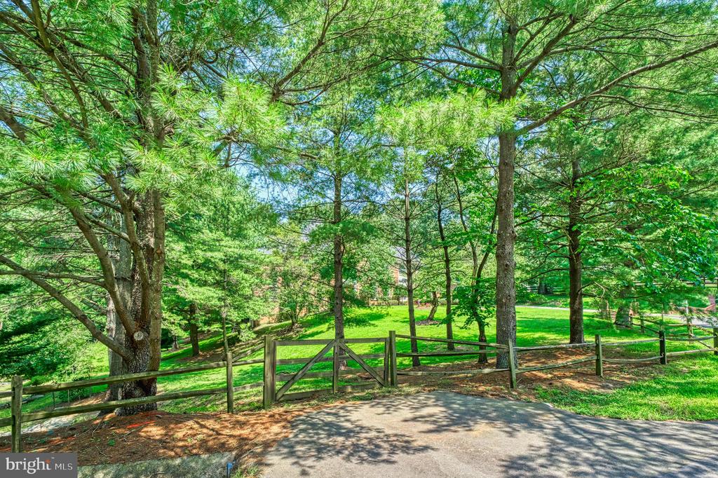 250 Golden Woods Ct