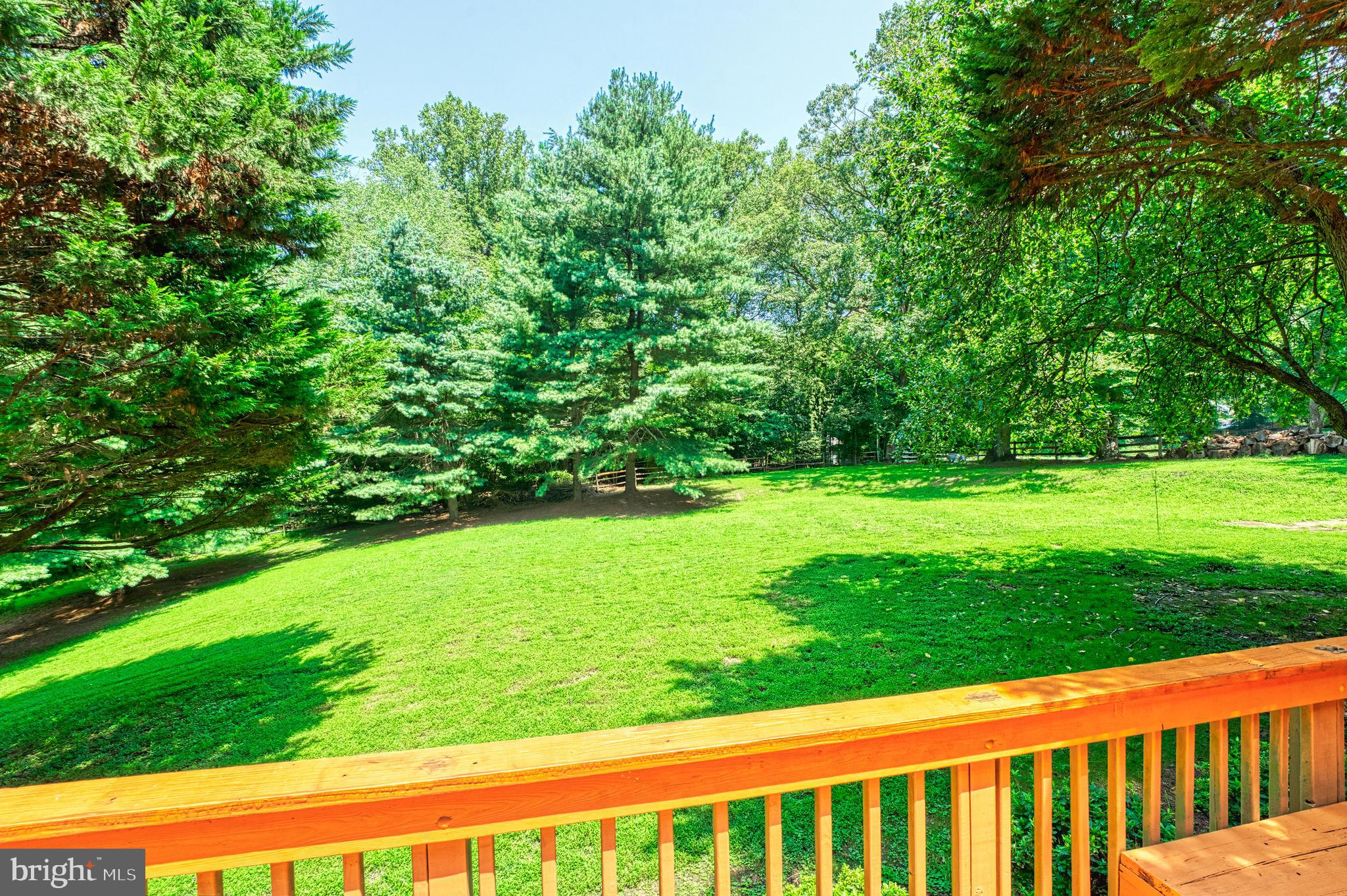 250 Golden Woods Ct