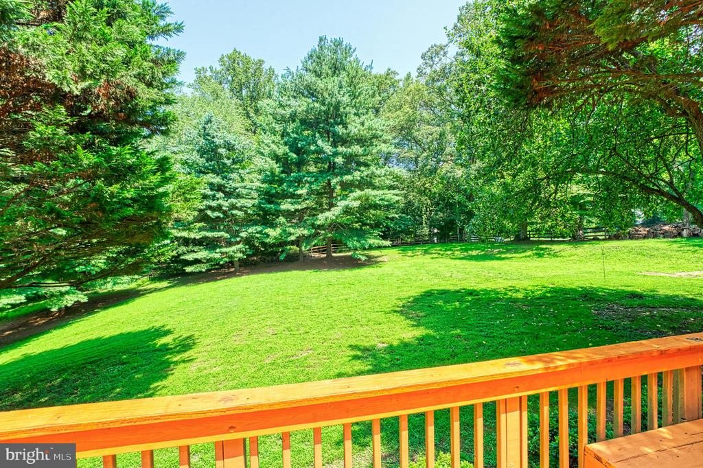 250 Golden Woods Ct