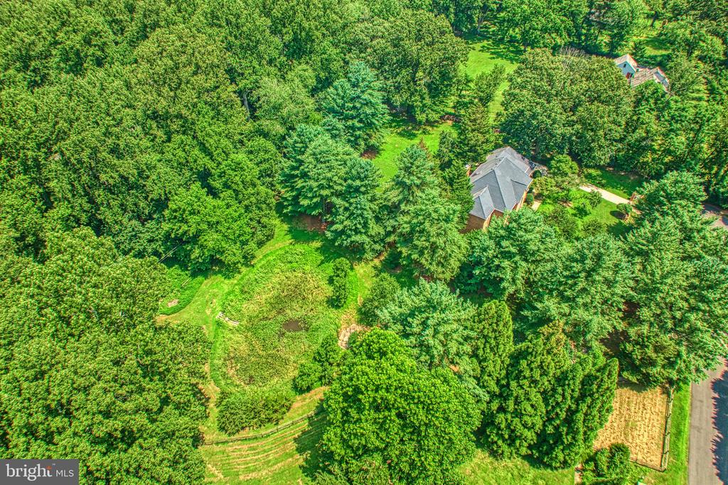 250 Golden Woods Ct