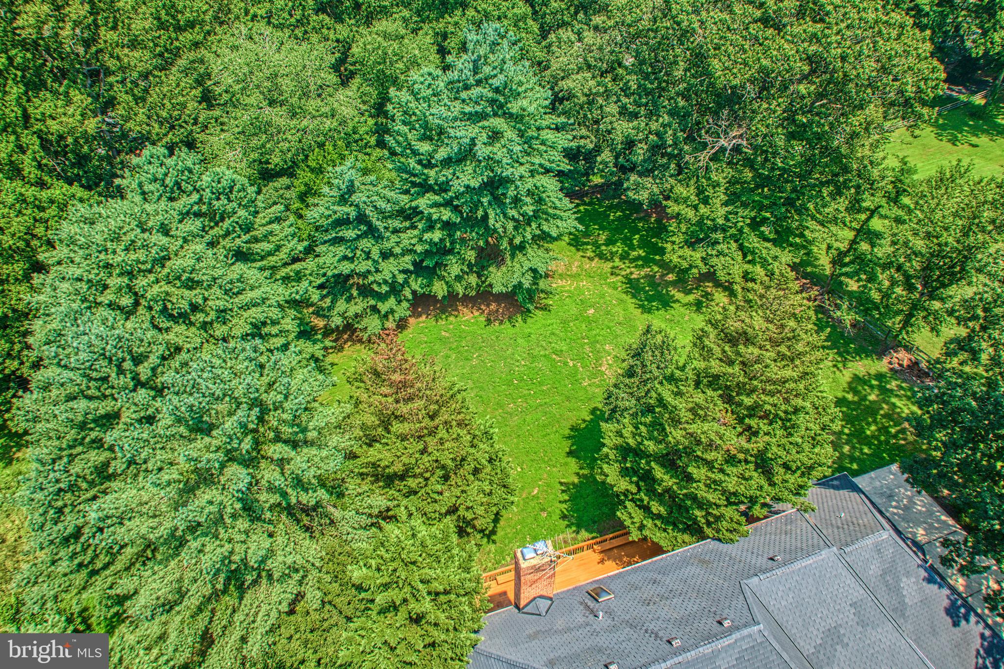 250 Golden Woods Ct
