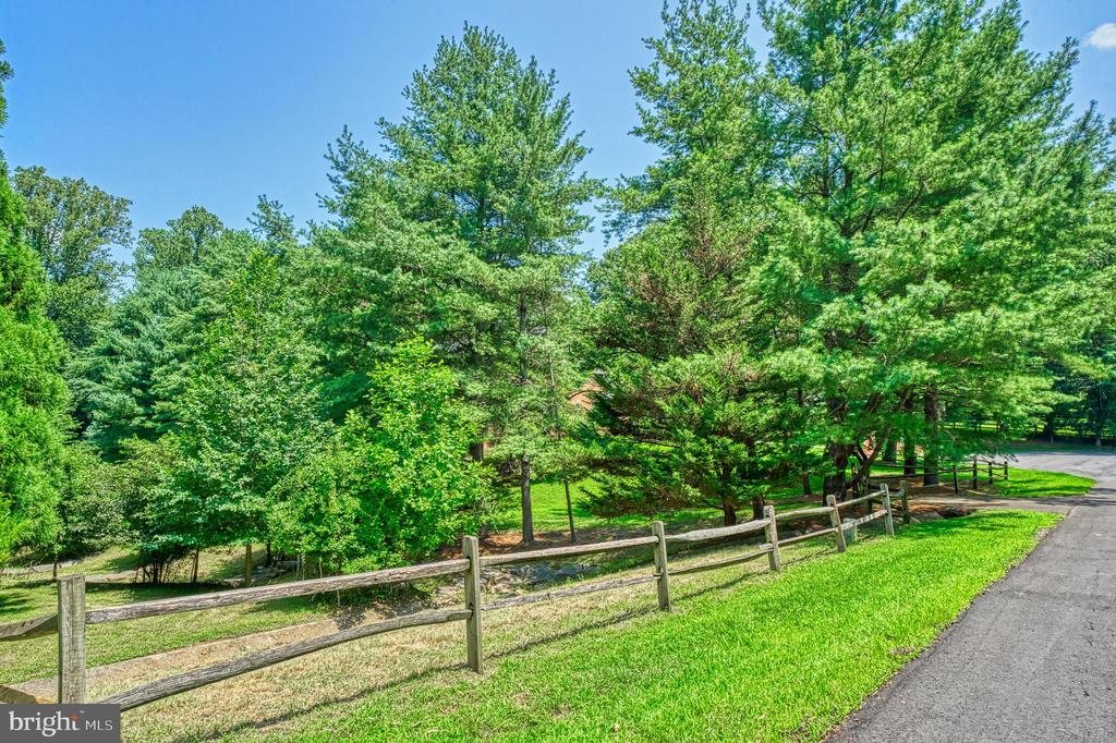 250 Golden Woods Ct