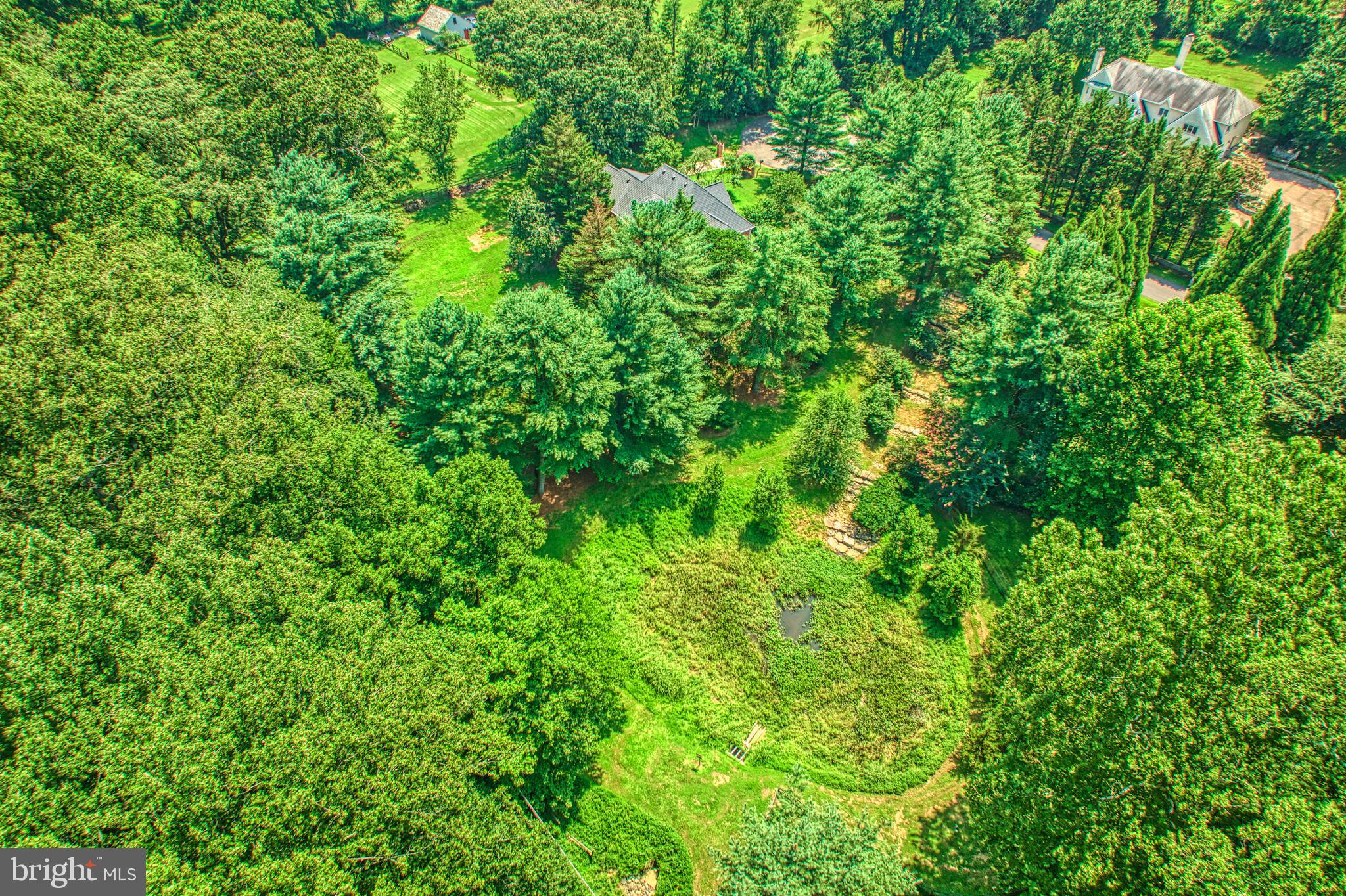 250 Golden Woods Ct