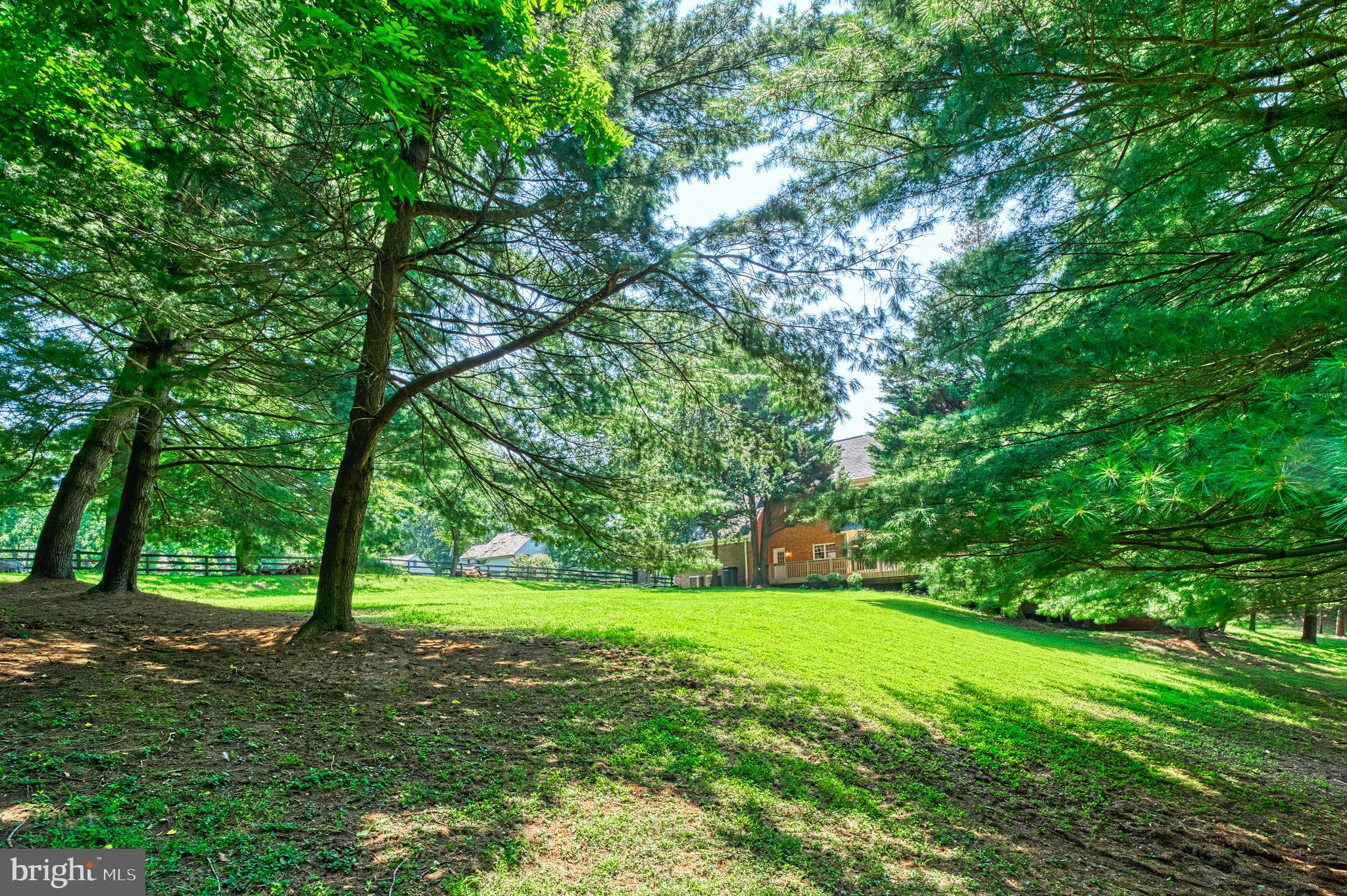 250 Golden Woods Ct
