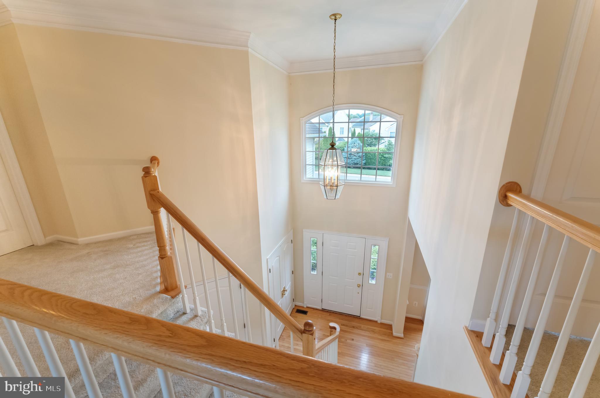 1309 Murray Downs Way
