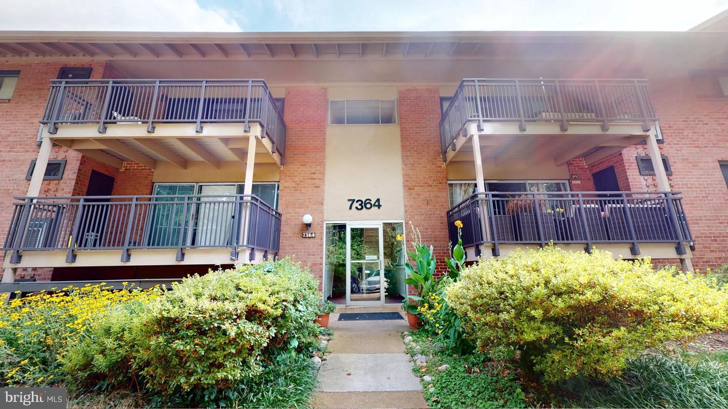 7364 LEE HWY #203