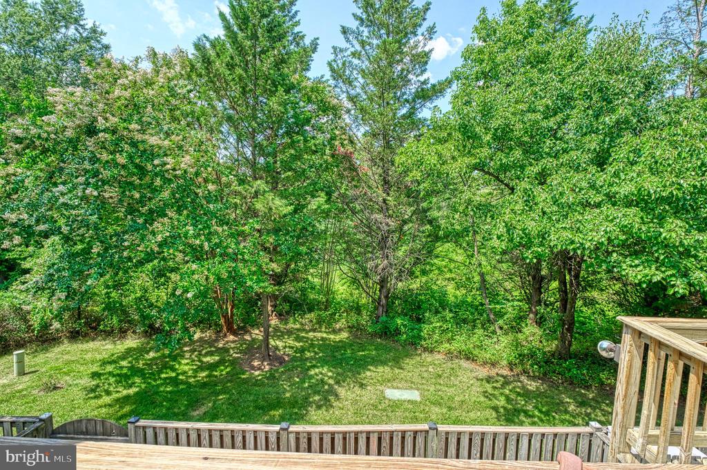 13116 Ashnut Ln