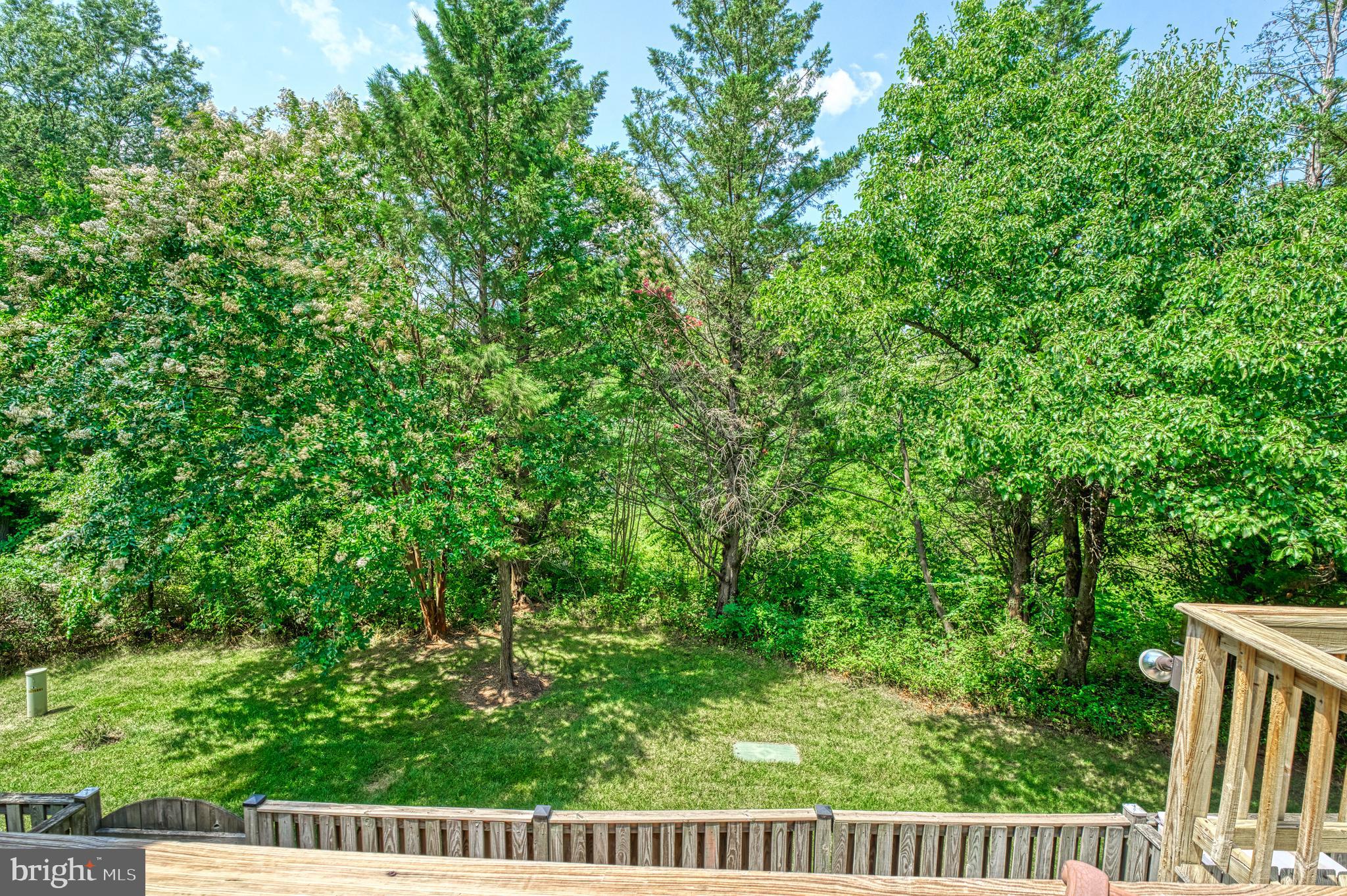 13116 Ashnut Ln