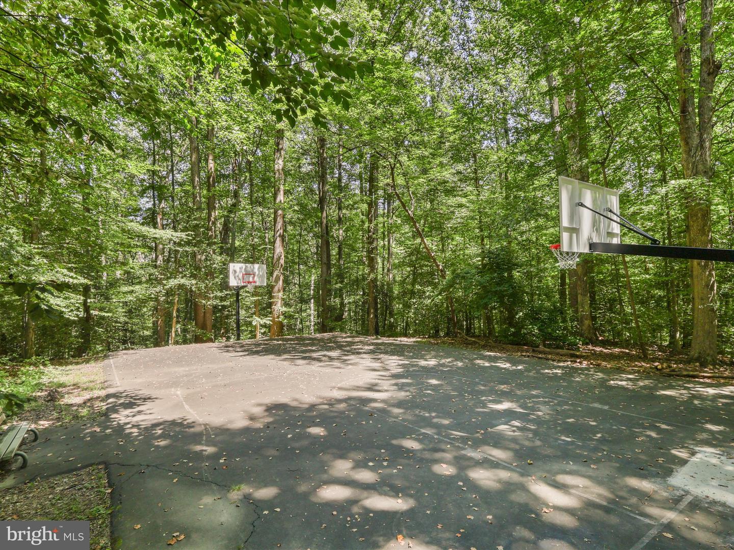 6632 Reynard Dr