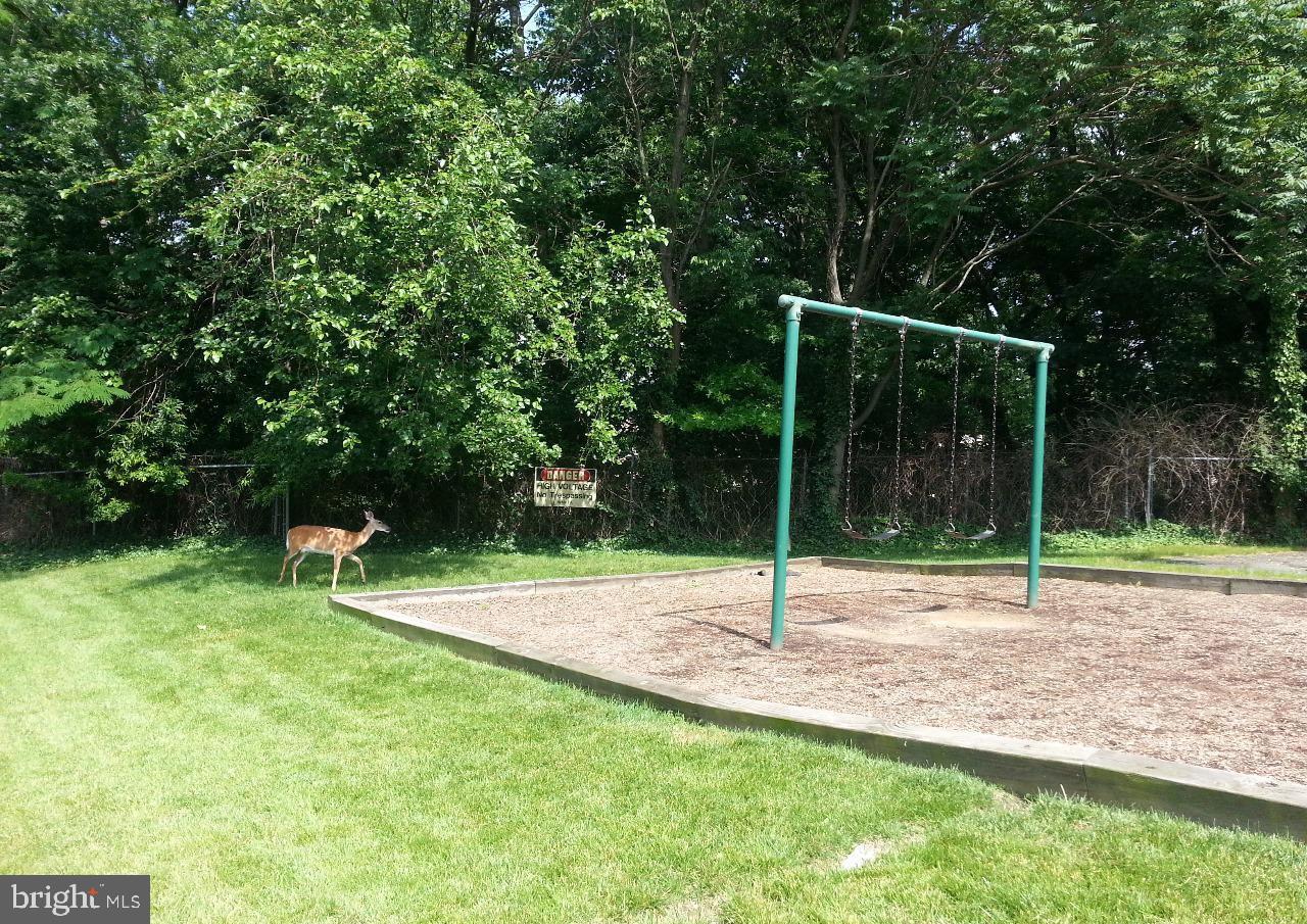 2609 WAGON DRIVE 354