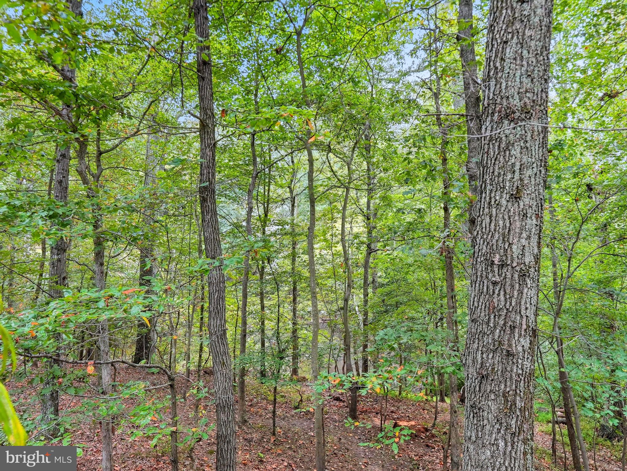 2507 HOLLYBROOK PLACE