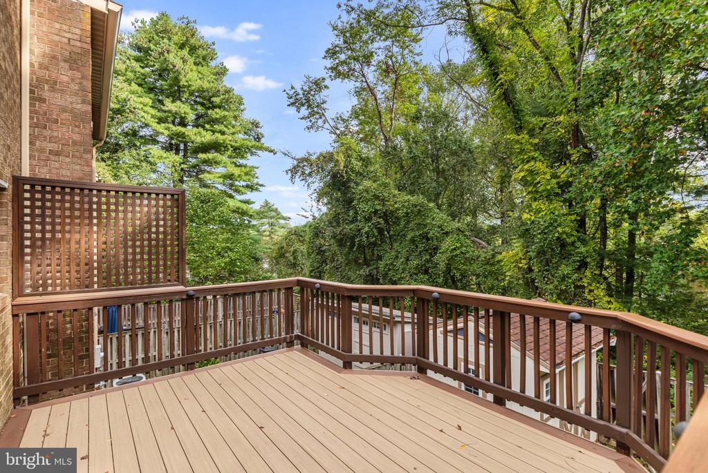 5825 HIGH BLUFF COURT