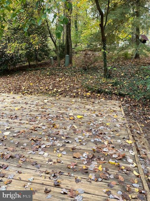 11563 SHADBUSH COURT