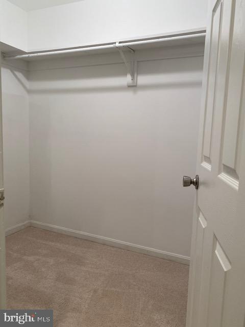 11563 SHADBUSH COURT