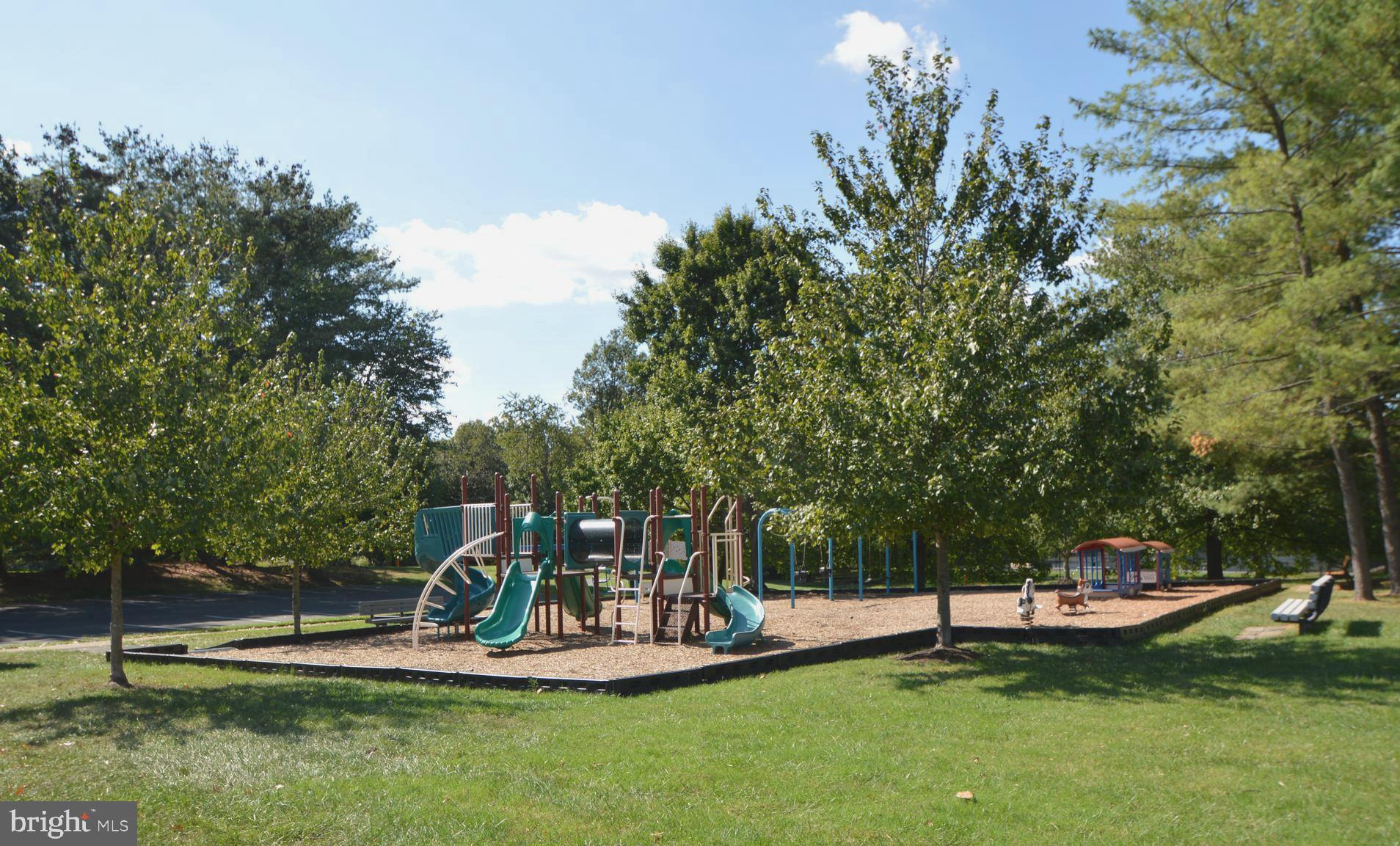 13371 TEABERRY COURT