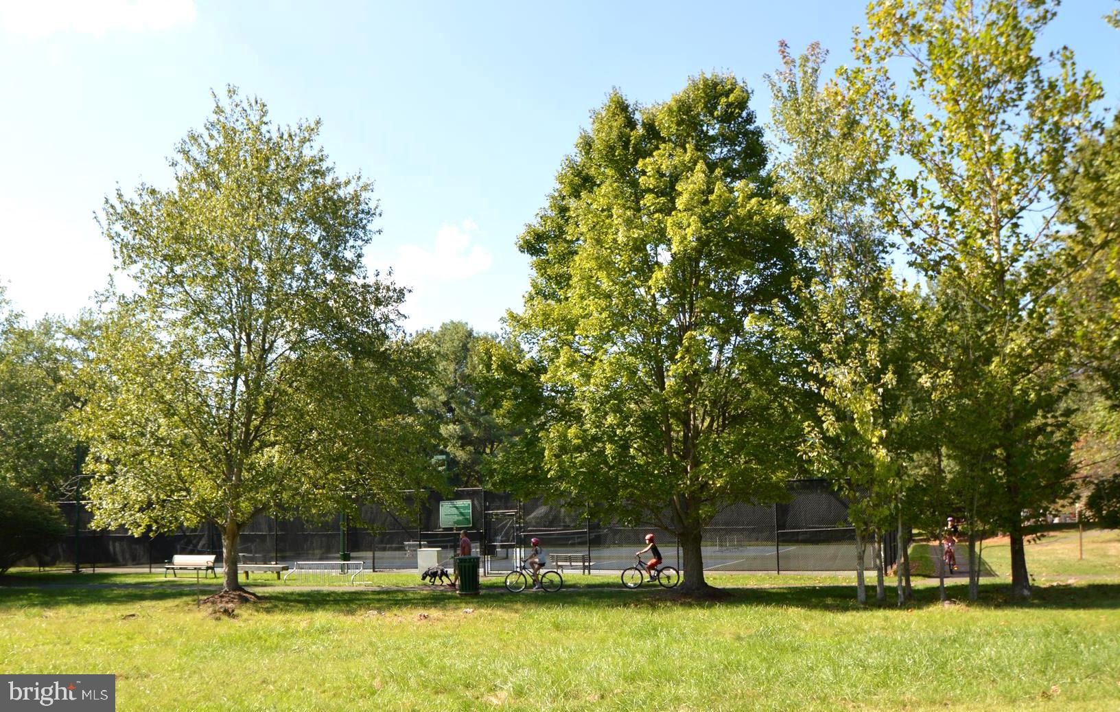 13371 TEABERRY COURT