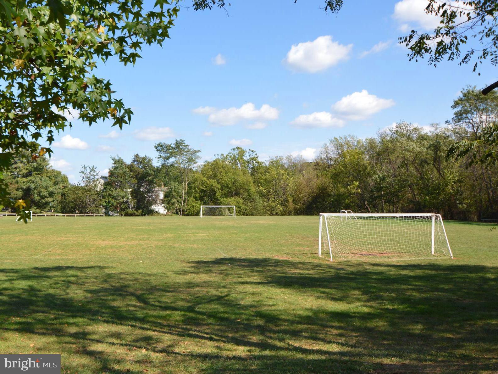 13371 TEABERRY COURT