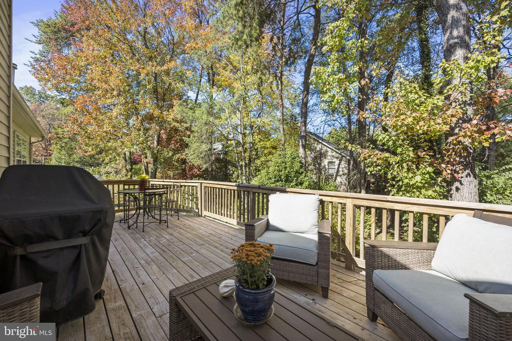 488 MONTALTO DRIVE