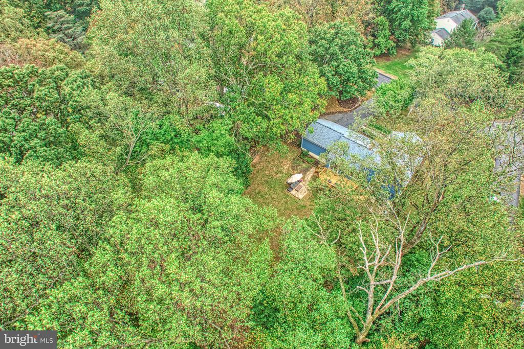 3119 COBB HILL LANE