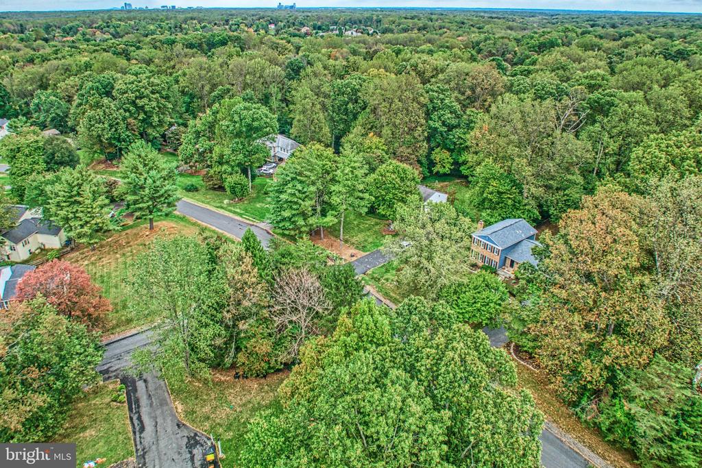 3119 COBB HILL LANE