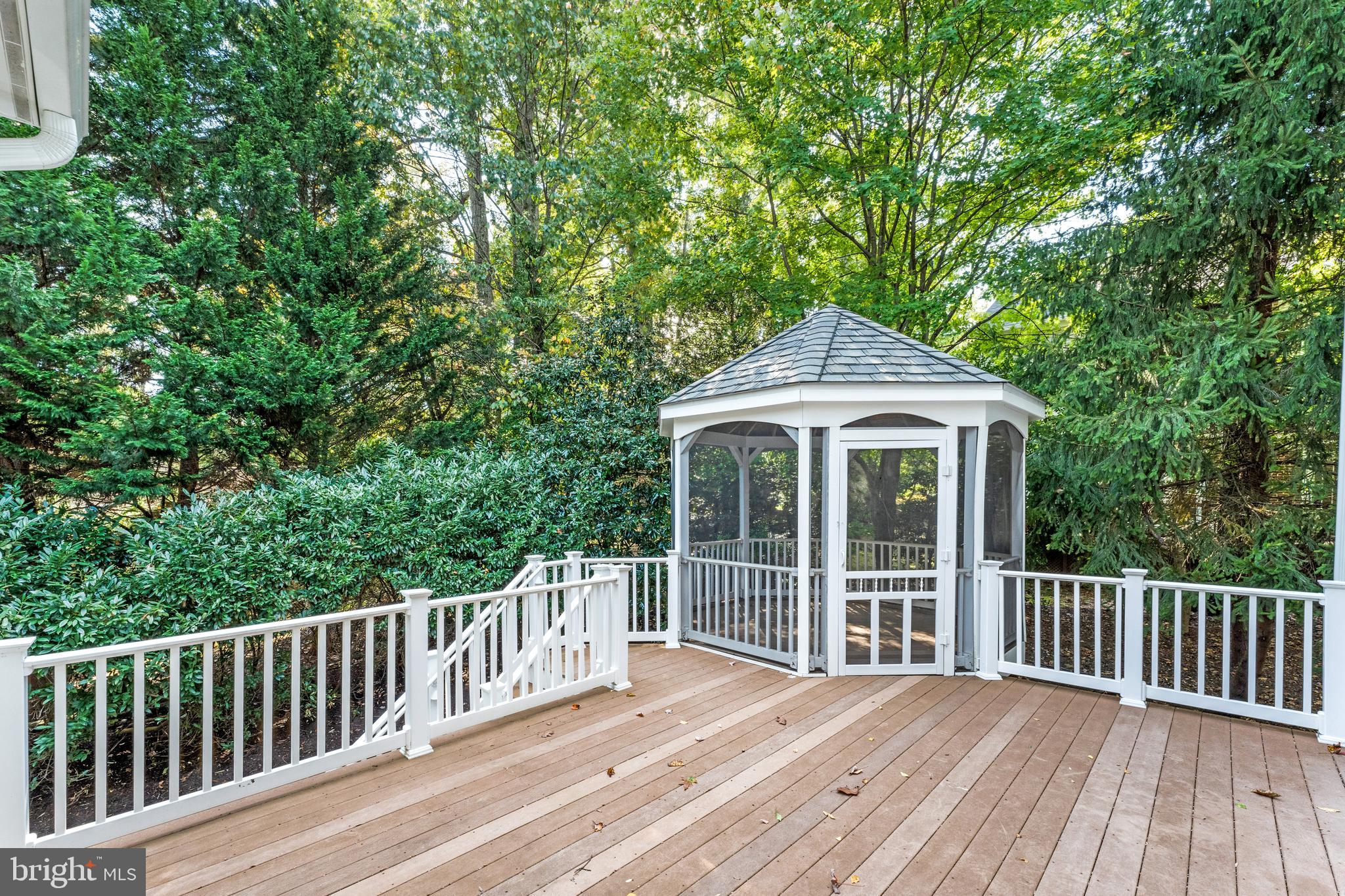 12197 WILD HORSE DRIVE