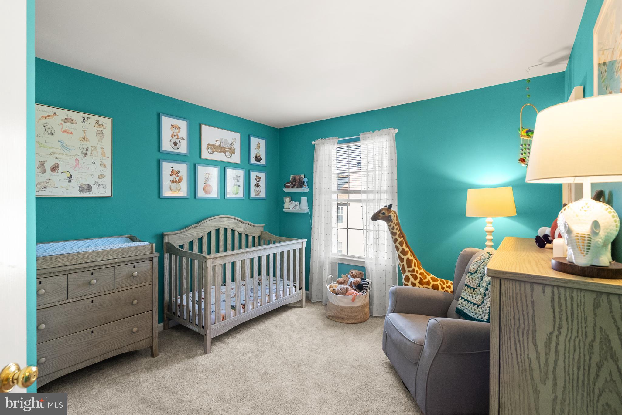 13500 CANADA GOOSE COURT