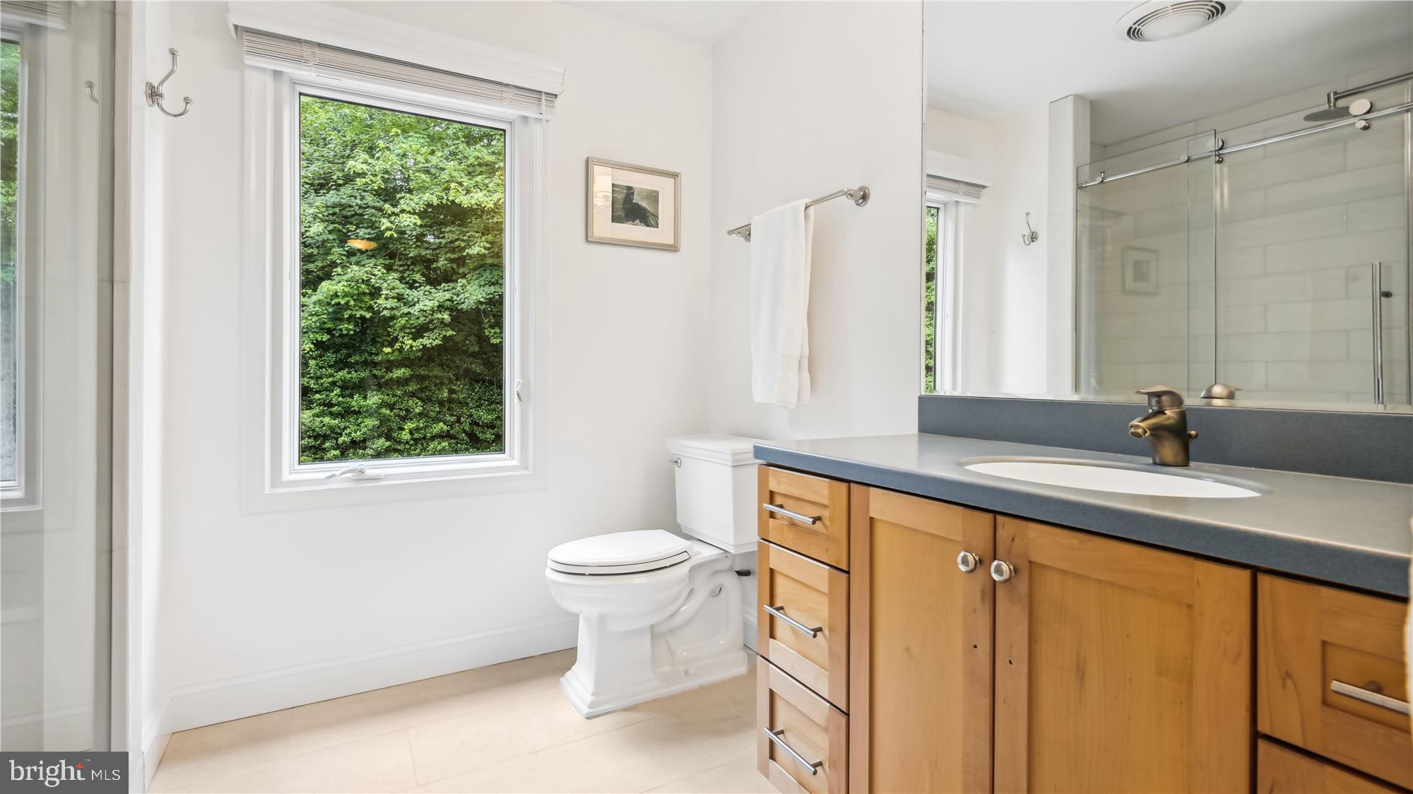 11803 GREY BIRCH PLACE